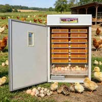 Incubateur d'œufs de cailles HJ-IH1232 pour 3000 œufs
