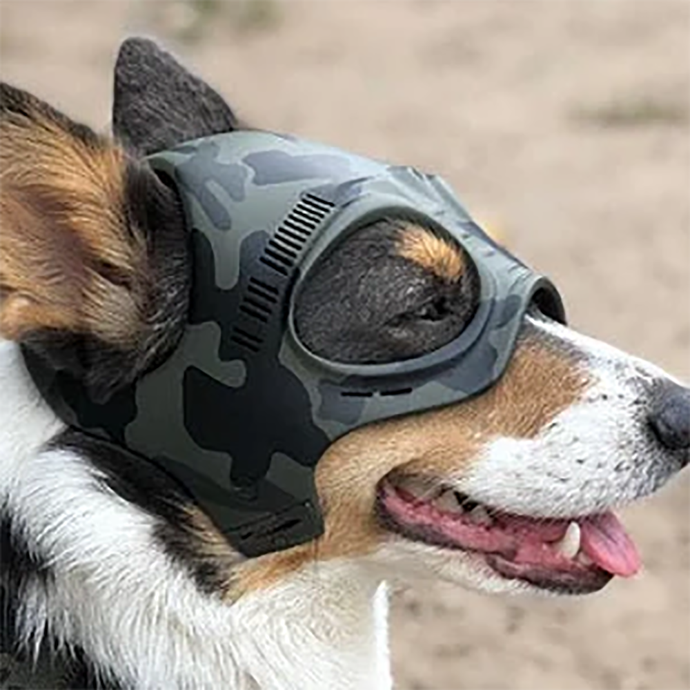 Dogs Helmets China Trade,Buy China 