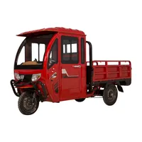 Electric Cargo Tricycle with Cabin, Bajaj Auto Rickshaw