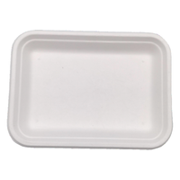 Plateaux jetables en bagasse de canne à sucre Plateau d'assiettes compostables écologique pour fêtes d'anniversaire de mariage Camping Fruits emballés
