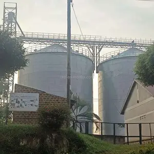 Silo en acier de riz de grain de stockage de silos de grande capacité pour le malt