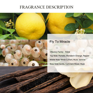 UNIQUE AROMA Fly to <span class=keywords><strong>Miracle</strong></span> <span class=keywords><strong>Perfume</strong></span> Oil, Aceite Perfumado Árabe <span class=keywords><strong>de</strong></span> Oriente Medio, Aroma Fresco y Duradero, Estilo Único, <span class=keywords><strong>Perfume</strong></span> para <span class=keywords><strong>Mujer</strong></span> - Product Image 2