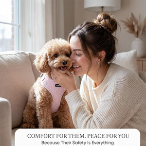 Imbracatura per Cani Morbida, Imbottita e Senza Strappi |   Gilet leggero e traspirante a sgancio rapido con motivo a cuori, regolabile e sicuro - Product Image 6