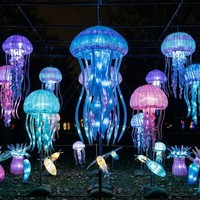 Decoración de Faroles con Forma de Animales Marinos para Parques de Atracciones, Uso en Interiores/Exteriores, Espectáculo de Luces para Parques Temáticos