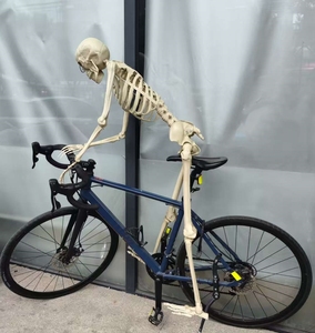 Esqueleto de Plástico Realista de 1.65 m para Decoración de Fiesta de Halloween, Esqueleto de Huesos de Casa Embrujada, Tamaño Real para Exteriores - Product Image 2