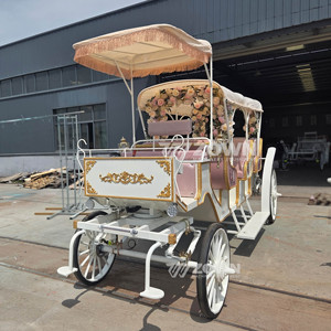 Carroza Eléctrica Turística ZOWN de 4 Ruedas, con Batería, de Lujo, Moderna, con 2 Años de Garantía, para Bodas - Product Image 5