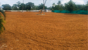 Remium 100% Organic oconut eat con Low ow & ppototing ububstrate Oil oil para lants - Product Image 6