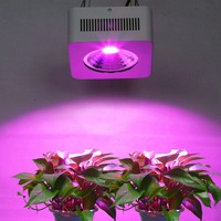 Lampu Tumbuh LED COB Spektrum Penuh Seri 4060 50W Kustom 380-780nm 60-80 Umol/s PPF Garansi 3 Tahun untuk Stroberi Melon
