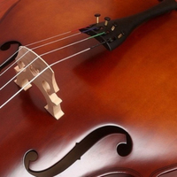 Cello mat brillant, pour débutants, pour les examens de pratique, pour les enfants.