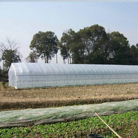 Serre tunnel agricole à grande portée en acier galvanisé à chaud, à faible coût, avec ventilation manuelle/électrique
