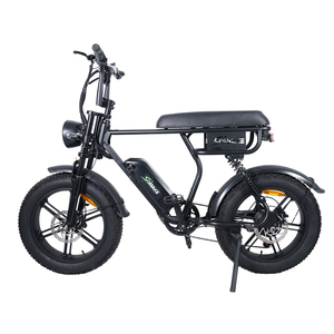 Biciclette Elettriche 20\" 250W 25km/h Omologate per Strada per Nuova Zelanda Europa Australia E-bike con Pneumatici Larghi per Adulti Fatbike - Product Image 2