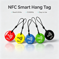 Llaveros Portátiles Personalizados de PVC Epoxi, Mini RFID NFC 213 215 216 13.56MHz, Tarjeta de Visita Impermeable, Compartir en Redes Sociales, Pago