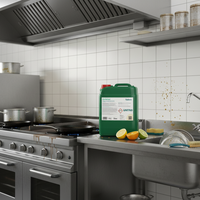 FADEIN DETERSOL Détergent dégraissant alcalin, formule liquide multi-usages avec tensioactifs non-ioniques et cationiques, parfum agrumes