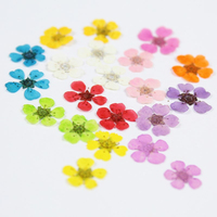 Fiori Naturali Pressati per Nail Art 3D, Decorazioni Metalliche Fai-da-Te, Logo Personalizzato, Fiori Veri Essiccati per Unghie