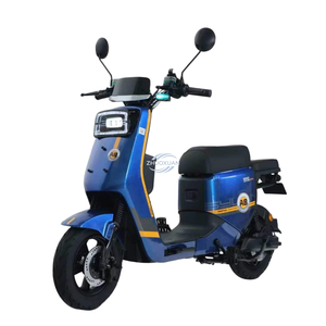 มอเตอร์ไซค์ไฟฟ้า 2000W L1e-B EEC พร้อมแบตเตอรี่ลิเธียม สกู๊ตเตอร์พร้อมดิสก์เบรกหน้าและหลัง มอเตอร์ฮับหลังแบบอิเล็กทรอนิกส์ - Product Image 6