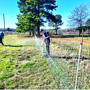 Red Eléctrica para aves de corral, cerca eléctrica para caballos, 90cm H - Product Image 2