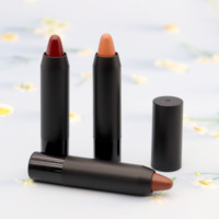 Vente en gros de brillant à lèvres mat en velours personnalisé de marque propre 12 couleurs rouge à lèvres imperméable à l'eau maquillage permanent végétalien naturel