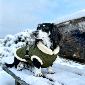 Luxury Winter All-Weather <strong>Dog</strong> Jacket Waterproof Puffer Pet <strong>Coat</strong> for Bassotto Wiener Dachshund Hamburg Teckel <strong>Sausage</strong> Polyester - Product Image 2