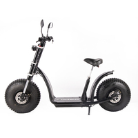 Cee COC 60V 20Ah Citycoco batterie 2000W/3000W/4000W Eu entrepôt Scooter électrique avec adulte