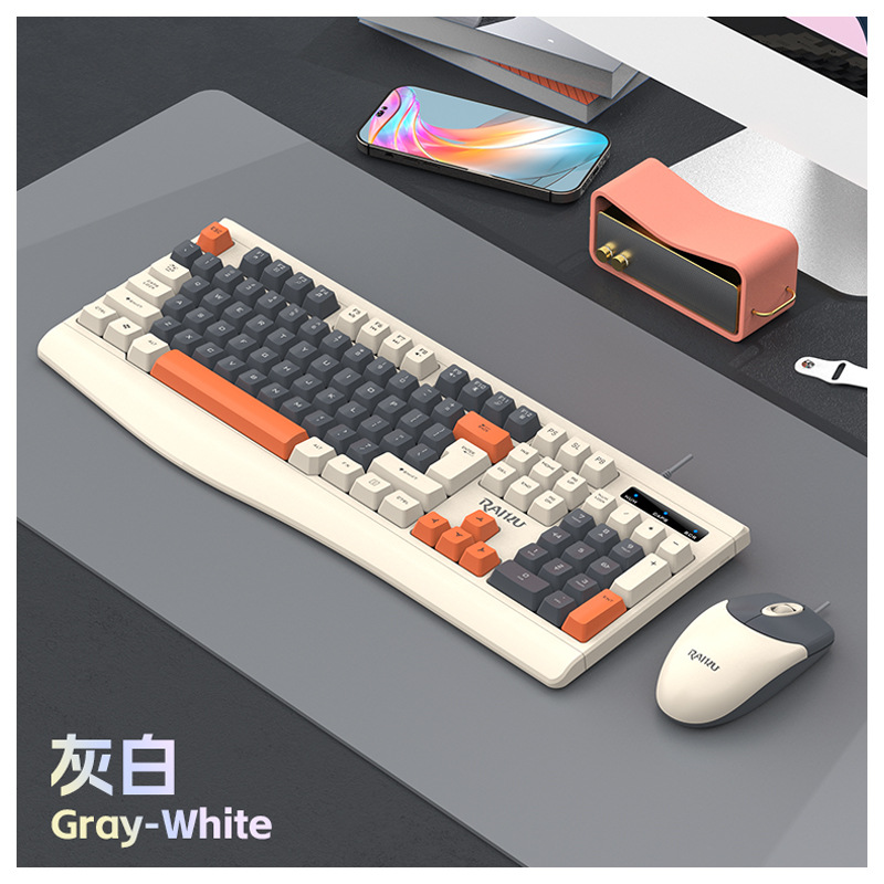 Clavier et souris Raikkon R903 gris-blanc