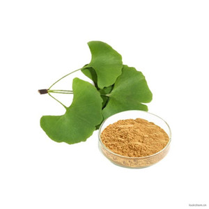 Nhà cung cấp nhà máy ginkgol Biloba chiết xuất bột <span class=keywords><strong>Ginkgo</strong></span> Biloba <span class=keywords><strong>folium</strong></span> chiết xuất gingoflavones24 % tlactone6 % - Product Image 3
