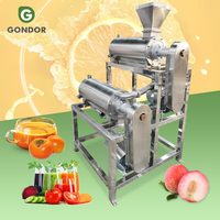 Bananen Tamarinde Puree Aardbeiensap Pulper Pulp Kloppen Extractor Maken Vruchten Pulpe Extractie Machine