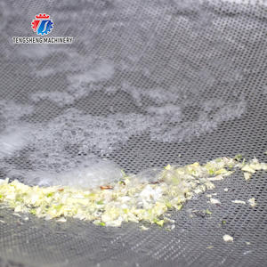 Línea de procesamiento comercial de vegetales, equipo de alimentos, lavadora Industrial de vórtice de frutas, jengibre y patata (TS-X680D) - Product Image 6