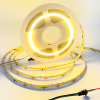 Bande LED COB Flexible 24V 360 LED/m Ra90 3000K, Ruban Lumineux Adressable Effet Eau Courante pour Fêtes, Mariages, Événements et Scènes