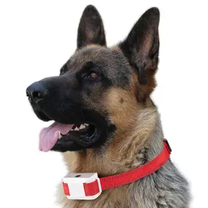 Meilleur vendeur, collier anti-aboiement pour chien, collier de dressage pour chien avec Certification CE, test
