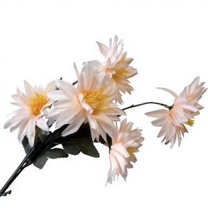 Rose de <span class=keywords><strong>bleuet</strong></span> - Product Image 2