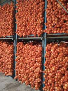 Fresh Red Purple <strong>Onion</strong> Supplier | Premium Quality <strong>Export</strong> From Shandong Non-Peeled 12 Month Shelf Life - Product Image 4