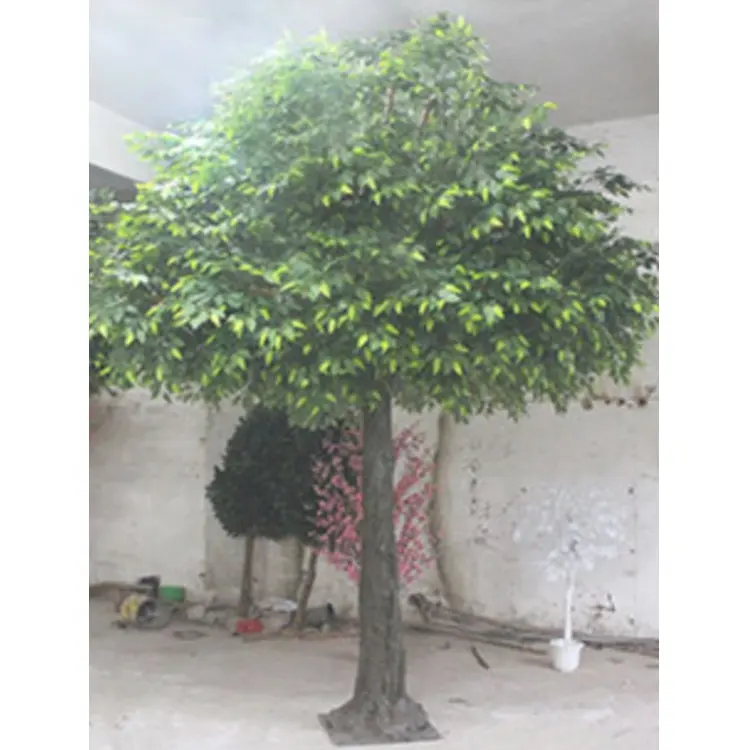 Grand arbre Banyan vert artificiel personnalisé, 8 pieds, 10 pieds, 12 pieds, haute qualité, pour la décoration de café