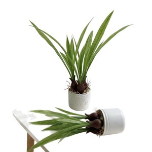 Plante artificielle Paulon en pot de 34 cm, en plastique vert, pour décoration intérieure et extérieure, pot de fleurs pour balcon, salon, chambre - Product Image 4