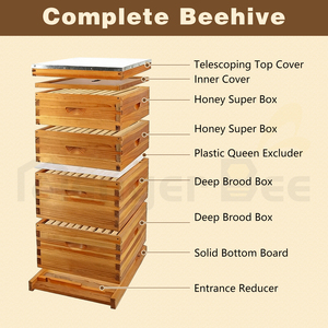 Kit complet de ruche Langstroth 10 cadres, 2 boîtes profondes + 2 boîtes moyennes, en bois de cèdre enduit de cire d'abeille, avec cadres - Product Image 4