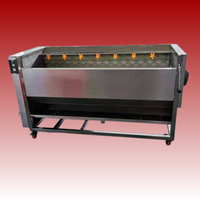 Automatische groenteschiller, commerciële aardappelschilmachine voor het schillen van uien & taro