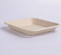 Wegwerp servies vierkante bagasse pulp schaal, extra sterk, 100% biologisch afbreekbaar voor voedsel, fruit, restaurants, bruiloften en feesten