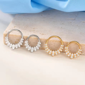 G23 Titane Anneau à segments articulés avec double ligne CZ Bijoux Piercing Nez Boucle d'oreille <span class=keywords><strong>Helix</strong></span> Ear Ring - Product Image 2