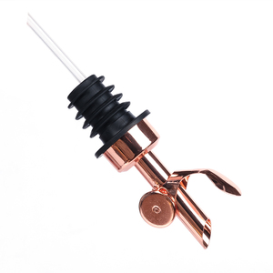 Miễn Phí Mẫu Thép Không Gỉ Cổ Điển Chai Pourers Rượu Chai Pourers Cho Rượu Spouts Chai - Product Image 5