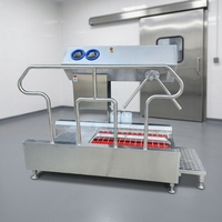 Machine de lavage électrique automatique de semelles pour atelier, équipement de station d'hygiène industrielle