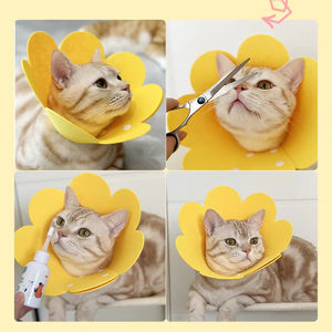 Elizabeth Circle Felt Pet <b>Collar</b> <b>Cat</b> Post Surgery Anti Lick Shame Circle Sunflower Head Set <b>Cat</b> Dog Pet Supplies - Product Image 2