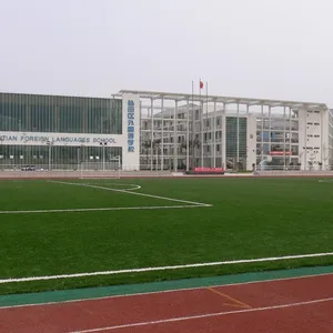 Monofil PE And Curled PPE Artificial Grass For Football or Multi-Functional Ground