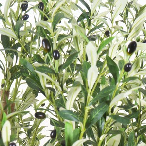 <span class=keywords><strong>Vendita</strong></span> calda di olivo di seta artificiale per interni albero di olivo gigante all'aperto di plastica 8ft - Product Image 3