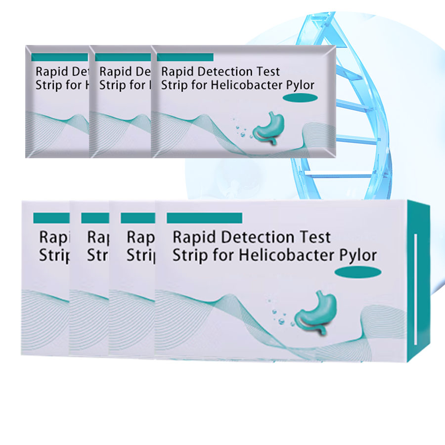 대변 테스트를위한 고정밀 H.pylori 항원 테스트 카세트/1 단계 급속 HP Ag 테스트 키트