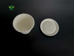 Aanpasbare 3Oz Microwable Milieuvriendelijke Kleine Dessertsnackbeker Biologisch Afbreekbare Wegwerpbekers Gemaakt Van Suikerriet Bagasse