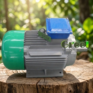 Alternador síncrono PMG de baja velocidad de 2 KW y 250 rpm para aerogeneradores de eje horizontal - Product Image 5