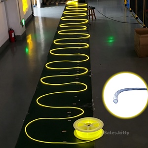 Cable de Fibra Óptica para Iluminación Perimetral de Piscinas en Exteriores, Cable de Fibra Óptica Luminoso de Plástico con Iluminación Lateral - Product Image 1