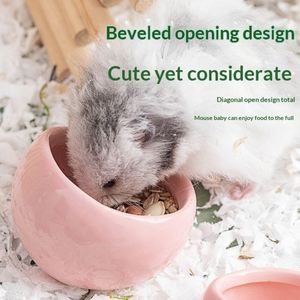 Bol à nourriture rond pour hamster, mangeoire inclinée colorée pour petits animaux de compagnie, idéal pour perroquets et autres petits animaux - Product Image 2