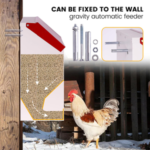 Mangeoires automatiques pour poulets JH-Mech avec couvercle, résistantes aux intempéries, à fixation murale, sans gaspillage, en métal galvanisé. - Product Image 2