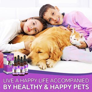 Gotas de óleo de cânhamo para cães Ômega 3,6,9 Extrato orgânico-Suporte imunológico Aliviar a ansiedade/dor Casaco de pele Saúde Quadril/Joint Support Calming - Product Image 5