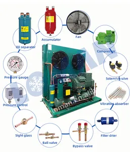 Loman 10hp 9hp 8hp 7hp 6hp 5hp 4hp 3hp Bitzer Semi Hermetische Koelcompressor Condensatie Units Voor Chiller Kamer